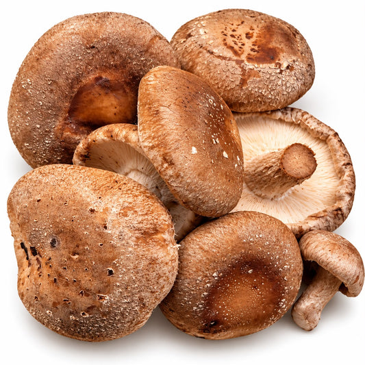 Ciuperci shiitake ECO, 150 g – detaliu