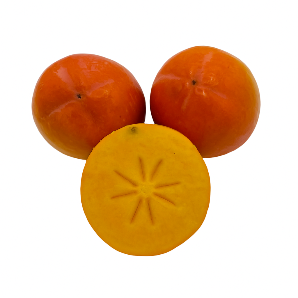 Kaki Rojo Brillante ECO, 220g