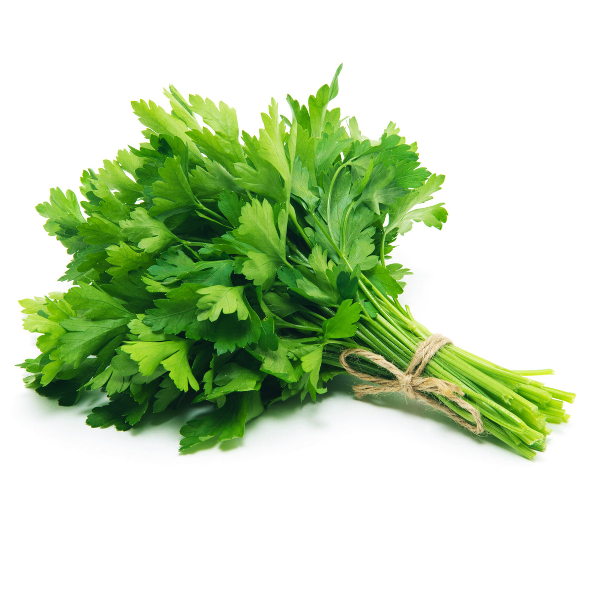 Pătrunjel Verde ECO, Legătură