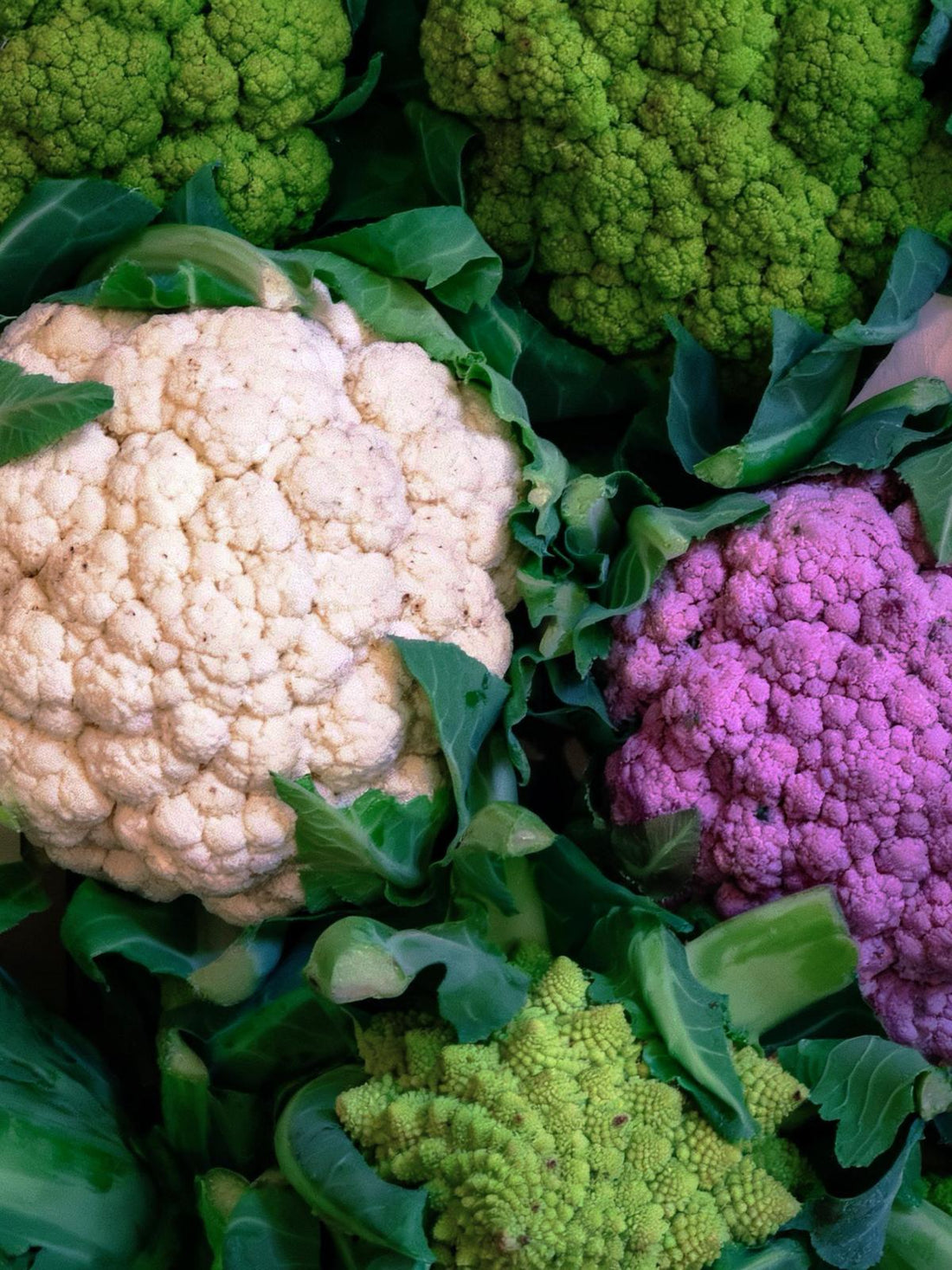 Alimente naturale recomandate de noua piramidă alimentară 2026