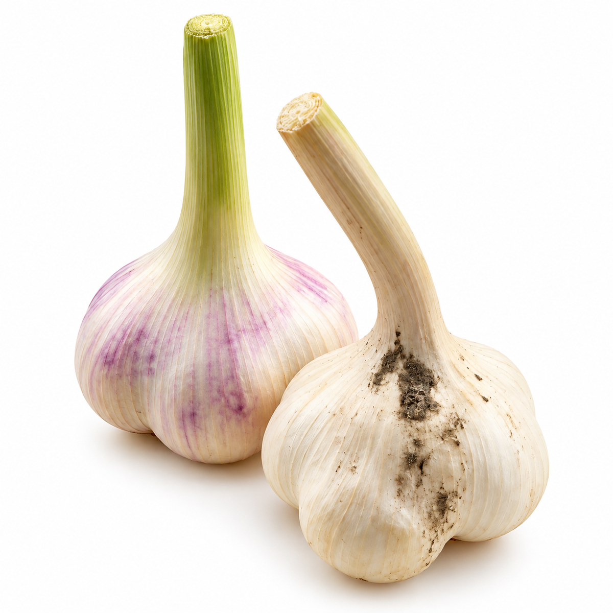 Usturoi proaspăt ECO din Olanda, 75 g