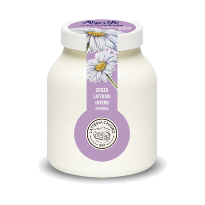 Iaurt Natural fără Lactoză AlpiYo, 500g