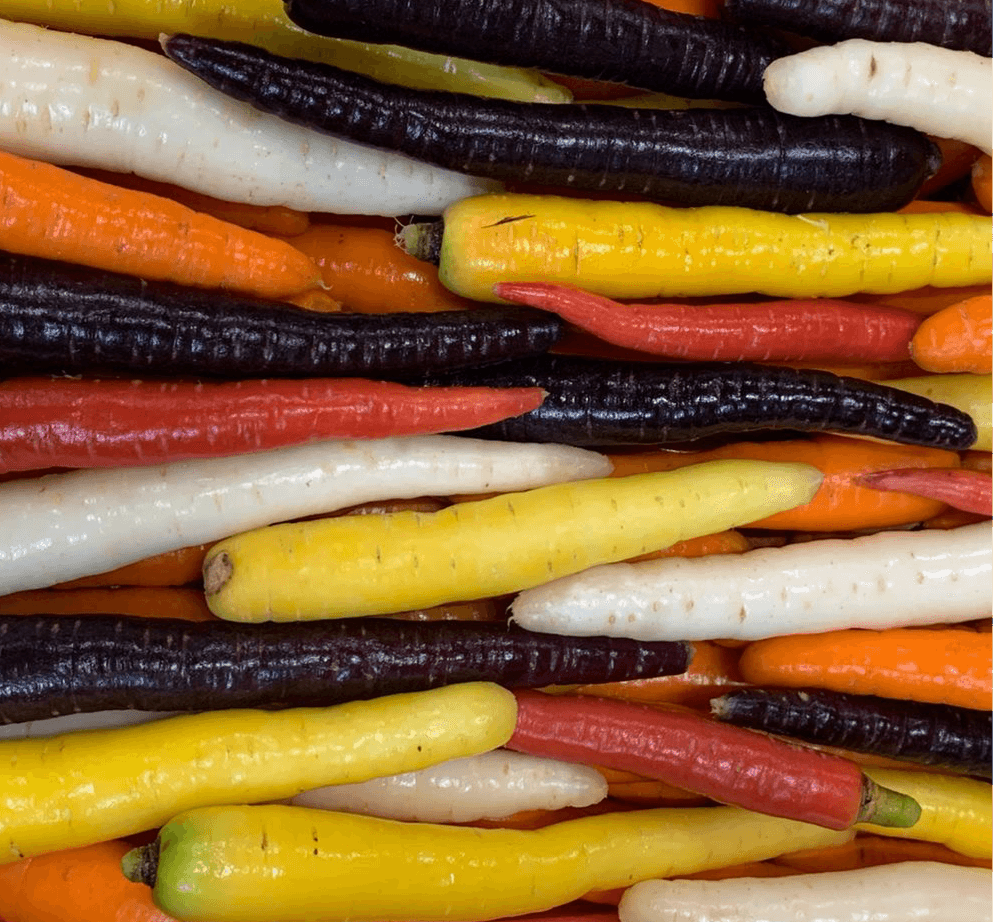 Morcovi Multicolori ECO, 500g