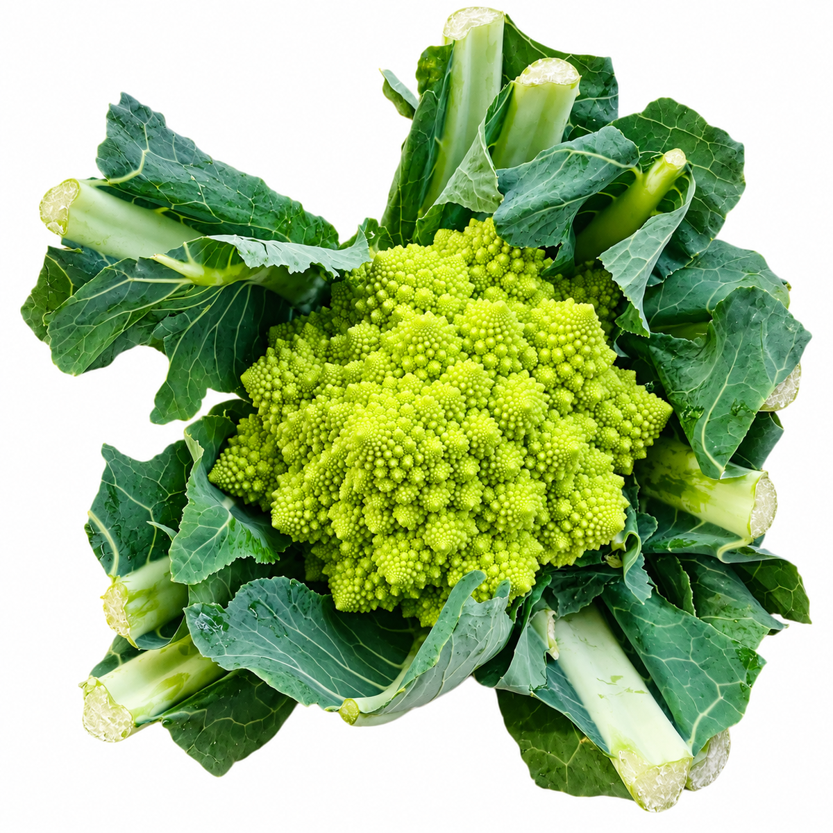 Conopidă Romanesco ECO din Olanda, 600g, cu frunze