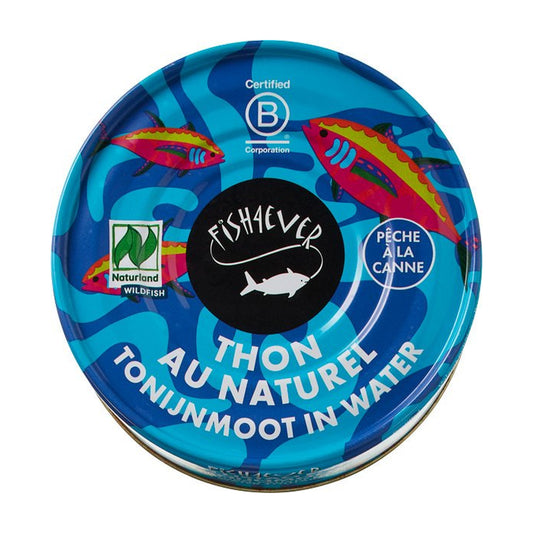 Ton Bucăți în Apă, 160g