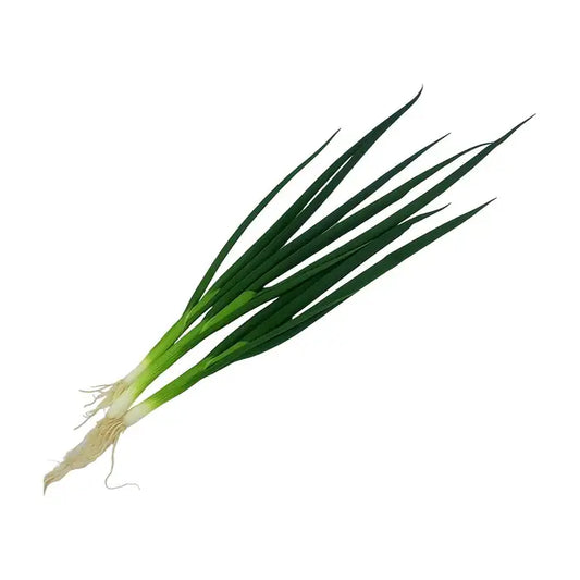 Ceapă Verde ECO, Legătură 50 g – Ferma Nasul Roșu