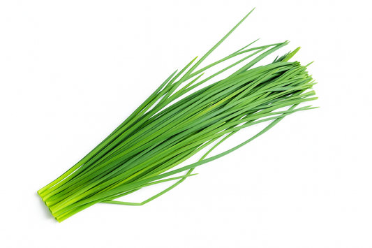 Arpagic Proaspăt (Chives) ECO, 20g