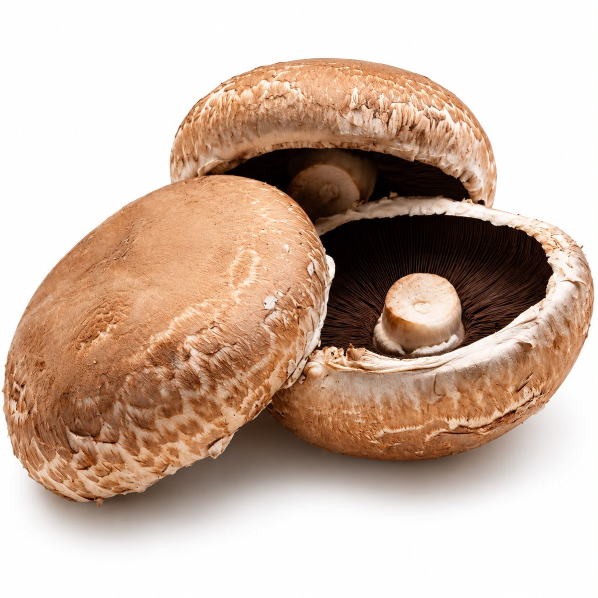 Ciuperci portobello ECO proaspete, 150 g, din Olanda