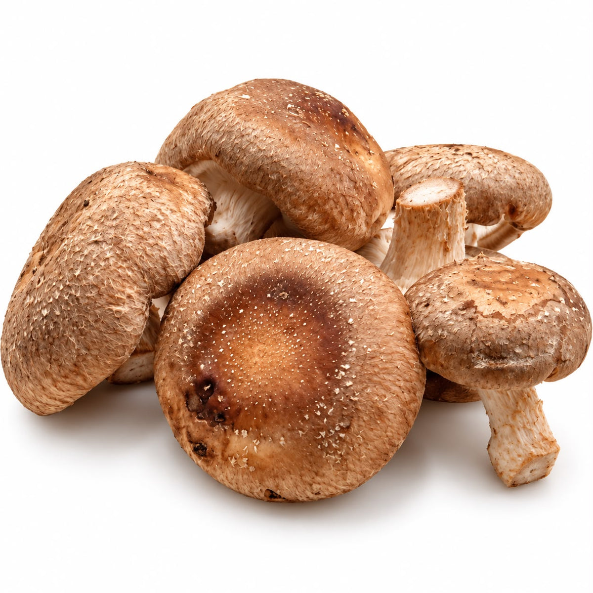 Ciuperci shiitake ECO proaspete, 150 g, din Olanda