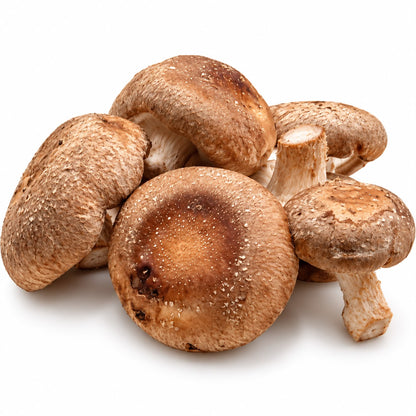 Ciuperci shiitake ECO proaspete, 150 g, din Olanda