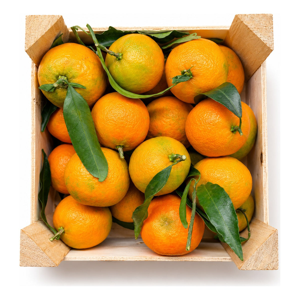 Clementine ECO din Calabria cu frunze, în lădiță de lemn de 1,5 kg