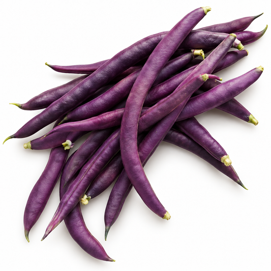 Fasole Păstăi Mov ECO, 250g