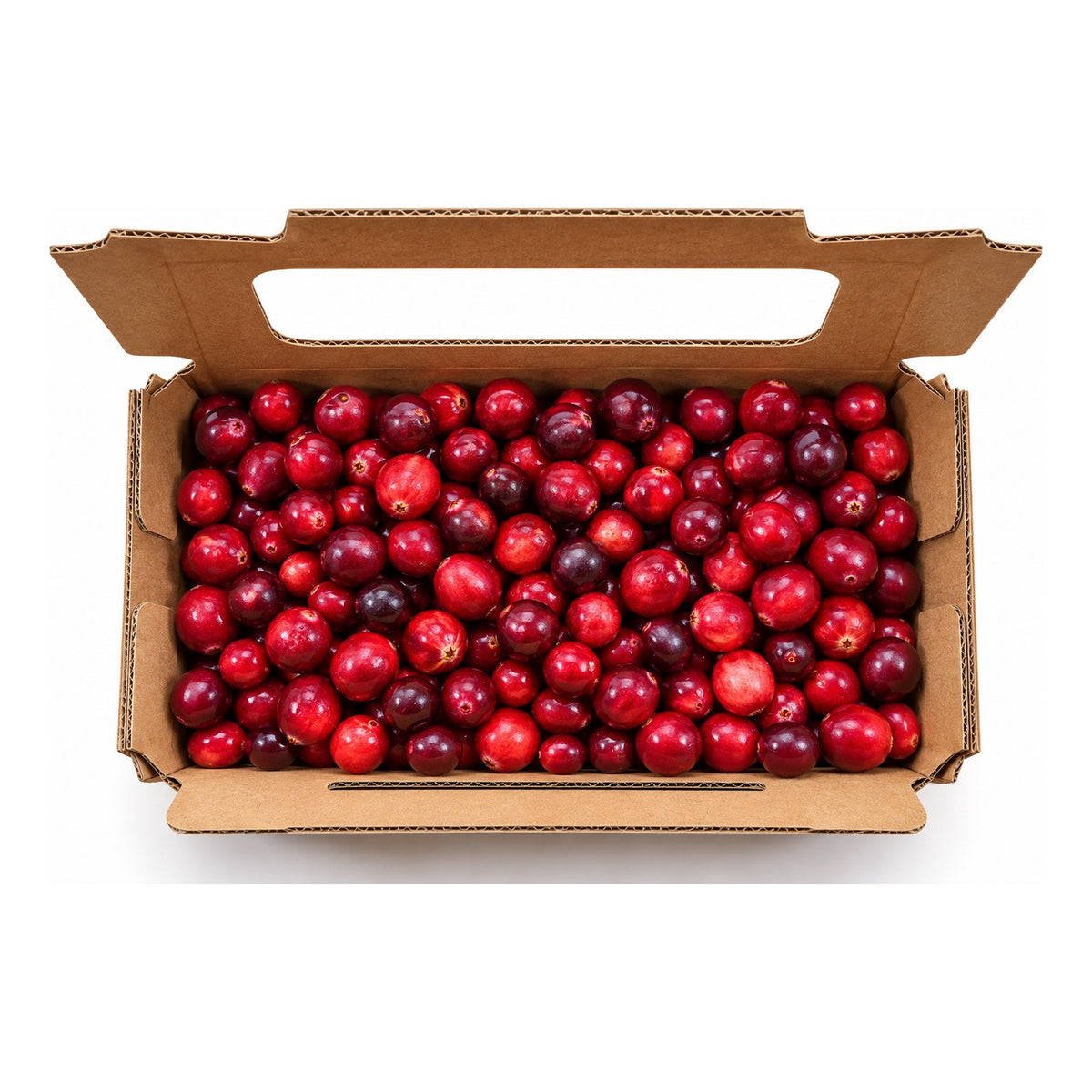 Merișoare proaspete ECO, 200 g, în cutiuță deschisă
