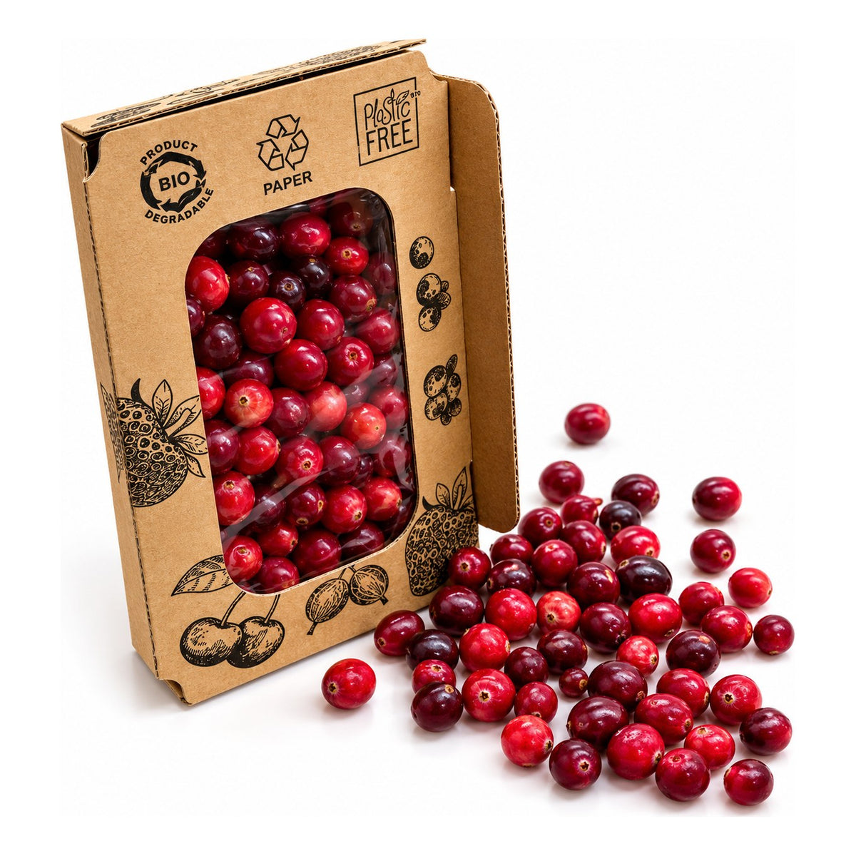 Merișoare proaspete (cranberries) ECO din Olanda, cutiuță de 200 g