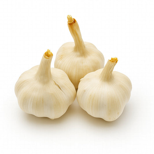 Usturoi ECO, 100g
