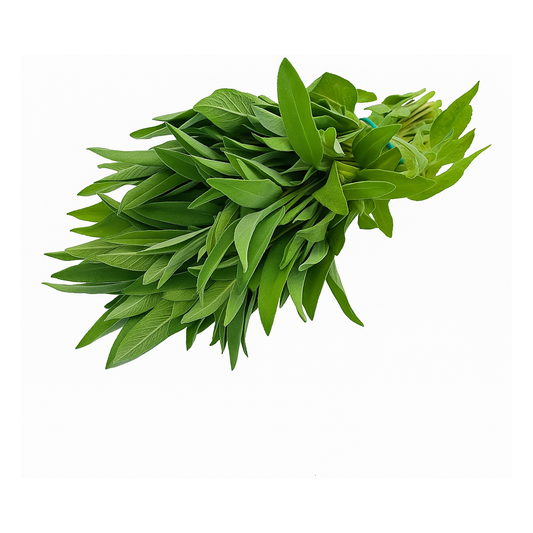Salvie Proaspătă ECO, Legătură