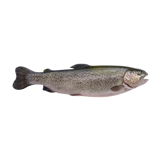 Păstrăv Proaspăt din Munții Călimani ECO, 700g