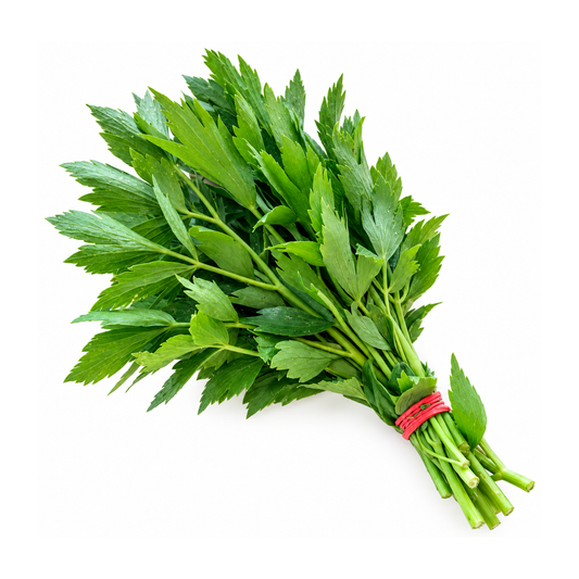 Leuștean Proaspăt ECO, Legătură 25g