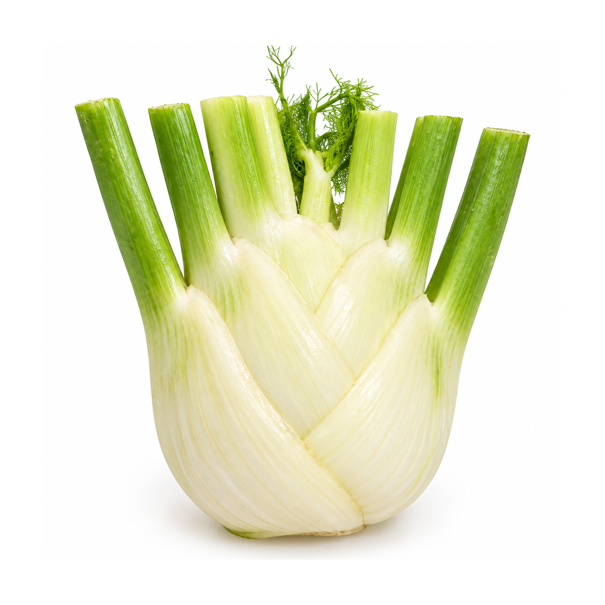 Fenicul ECO, 250g