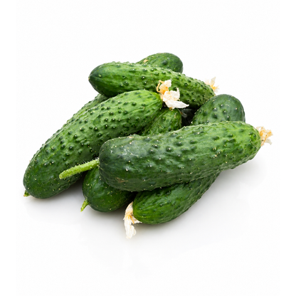 Castraveți cornichon ECO, 500g