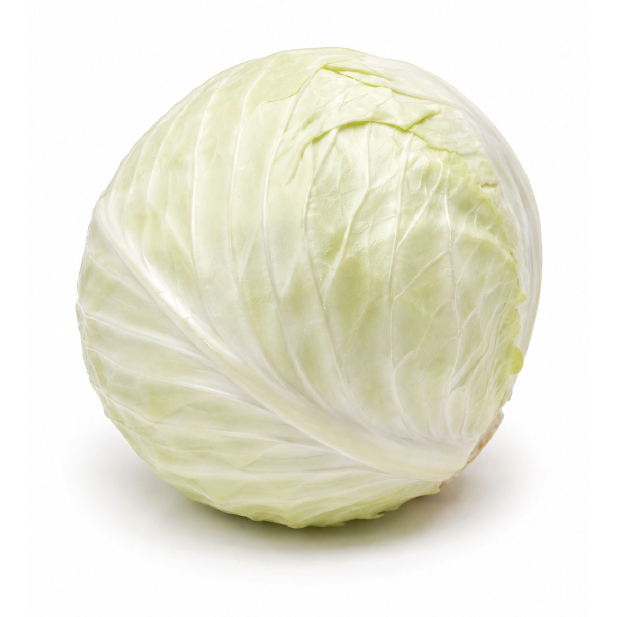 Varză Albă ECO, 750g