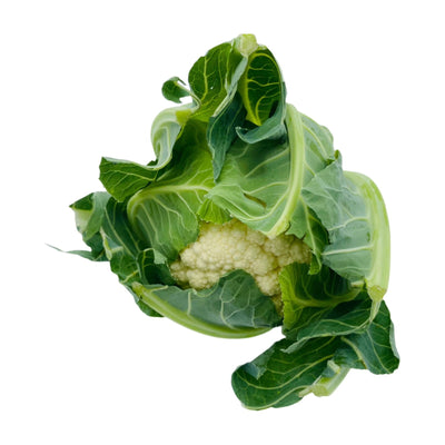 Conopidă Albă ECO, 700g
