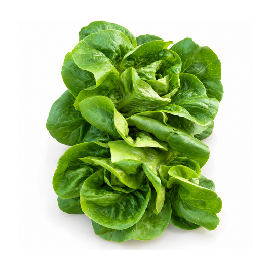 Salată Mini Romaine Mix ECO, 150g
