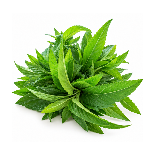 Mentă Indiană ECO, Legătură 25g