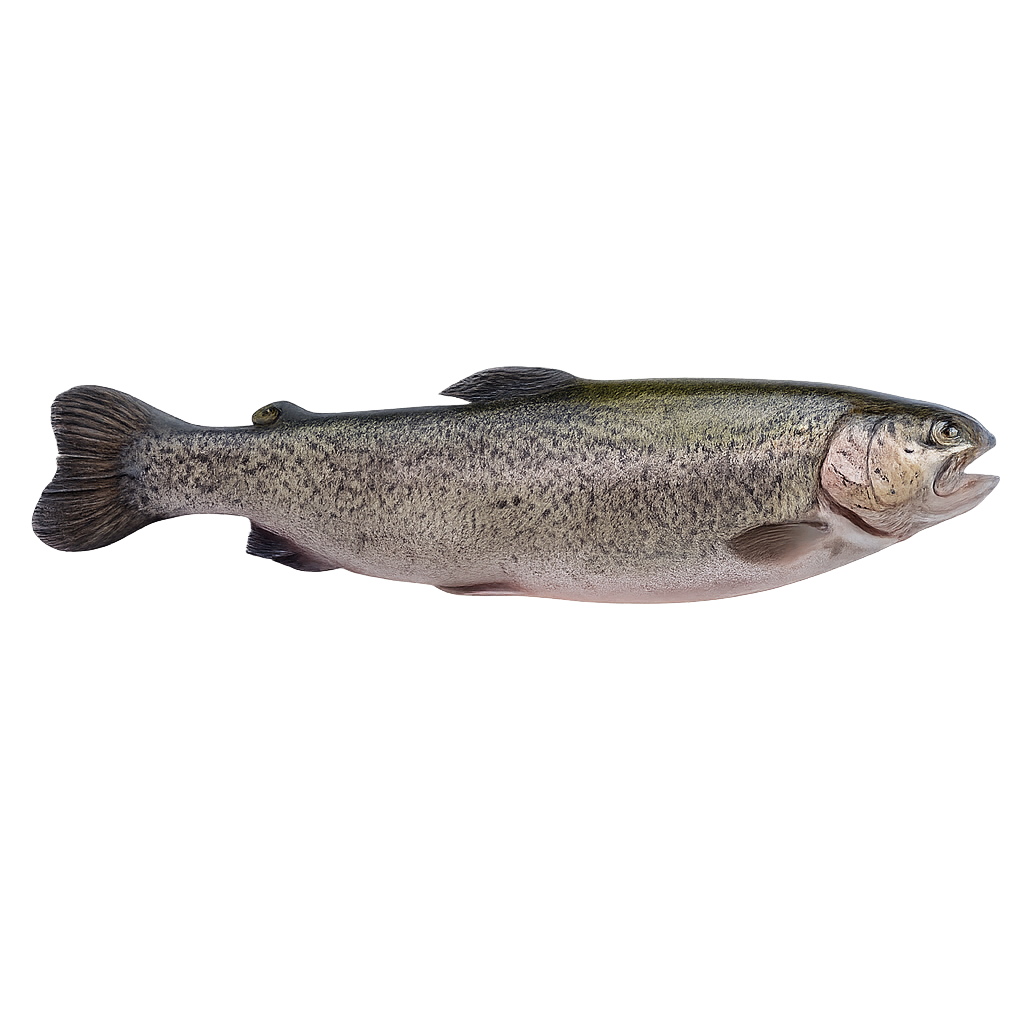 Păstrăv Proaspăt din Munții Călimani ECO, 700g