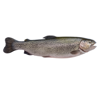 Păstrăv Proaspăt din Munții Călimani ECO, 700g