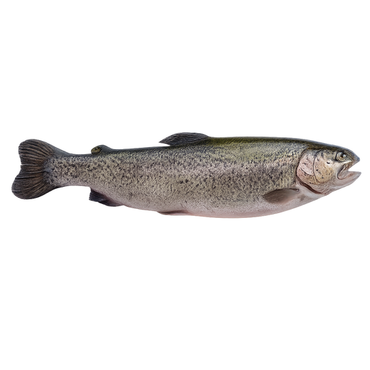 Păstrăv Proaspăt din Munții Călimani ECO, 700g