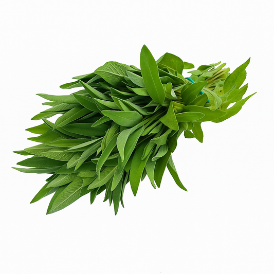 Salvie Proaspătă ECO, Legătură