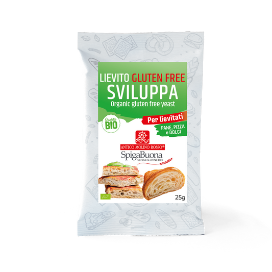 Drojdie Uscată fără Gluten ECO, 25g