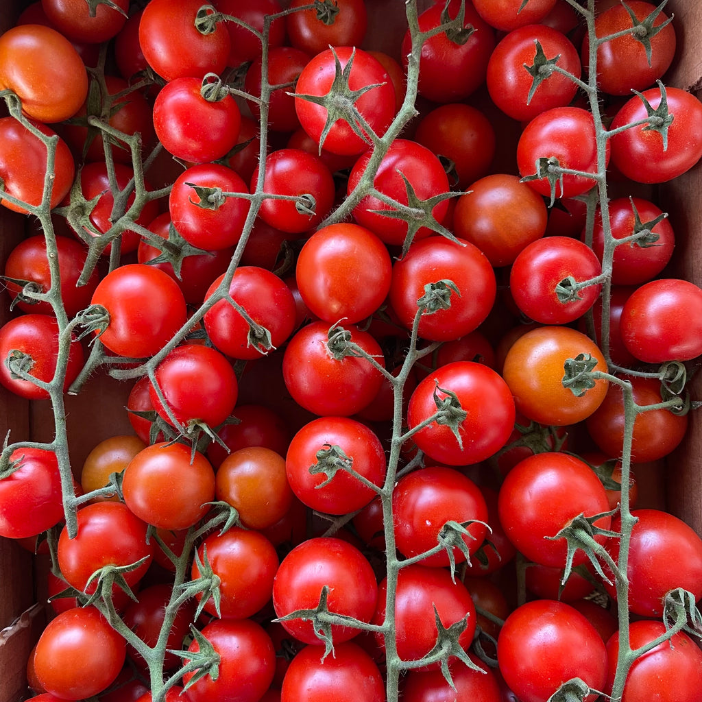 tomate cherry eco