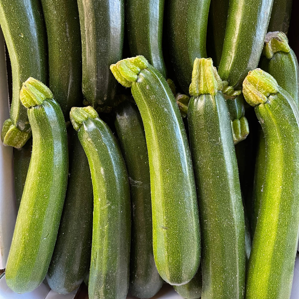 zucchini eco