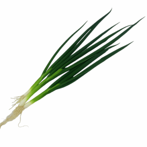 Ceapă Verde ECO, Legătură