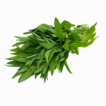 Salvie Proaspătă ECO, Legătură