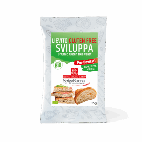 Drojdie Uscată fără Gluten ECO, 25g