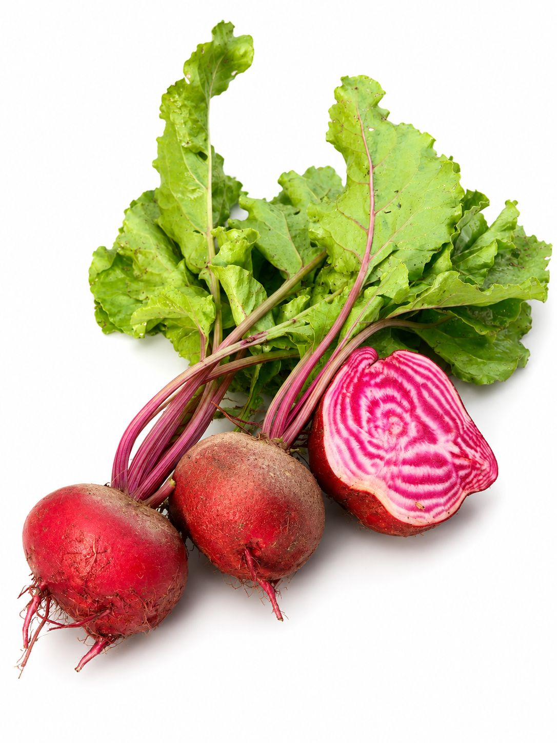 Sfeclă Chioggia ECO, 400g - imagine 2