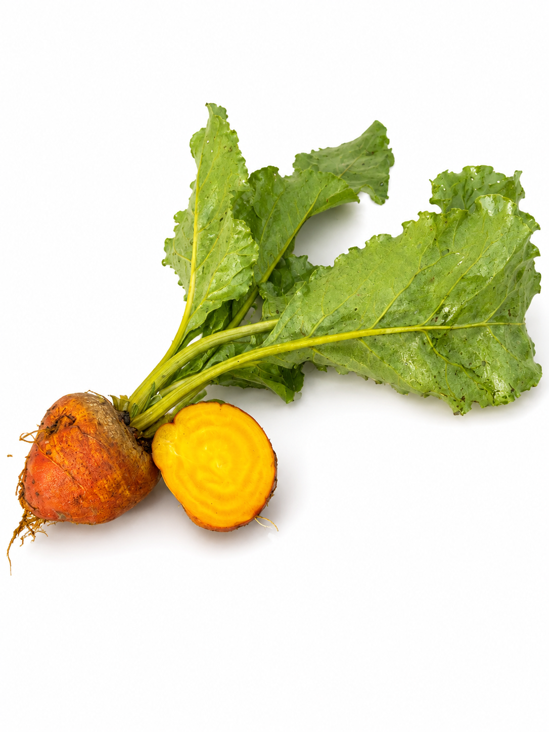 Sfeclă Galbenă Golden Burpees ECO, 400g - imagine 3