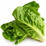 Salată Little Gem (Mini Romaine) ECO, Bucată